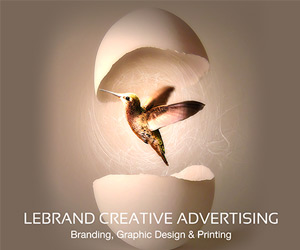 thiết kế thương hiệu